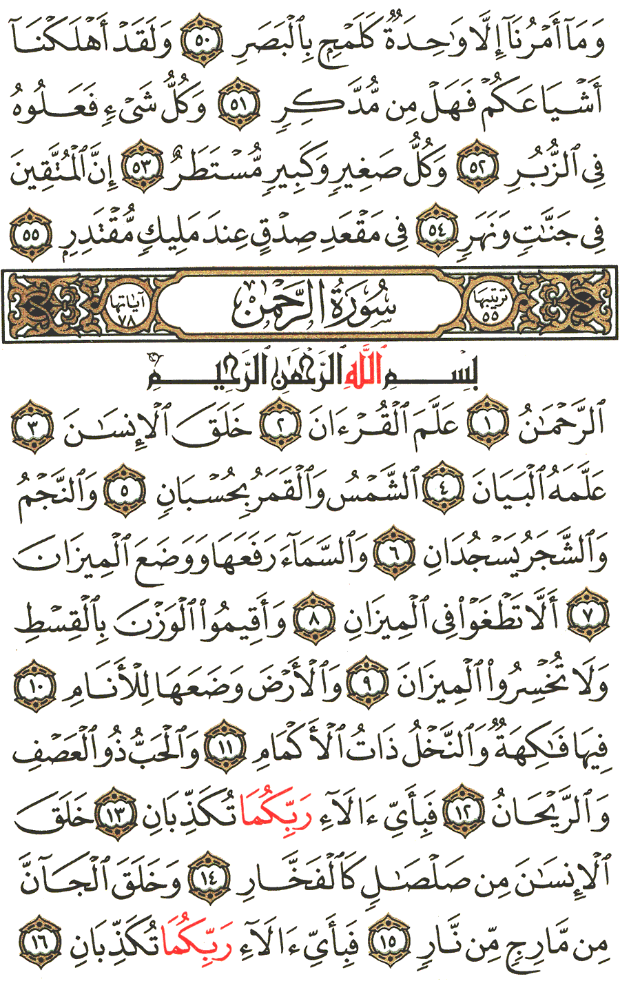 Page No 531  The Noble Quran  