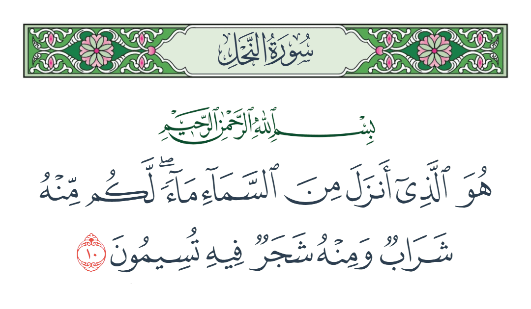  سورة النحل الآية رقم 10