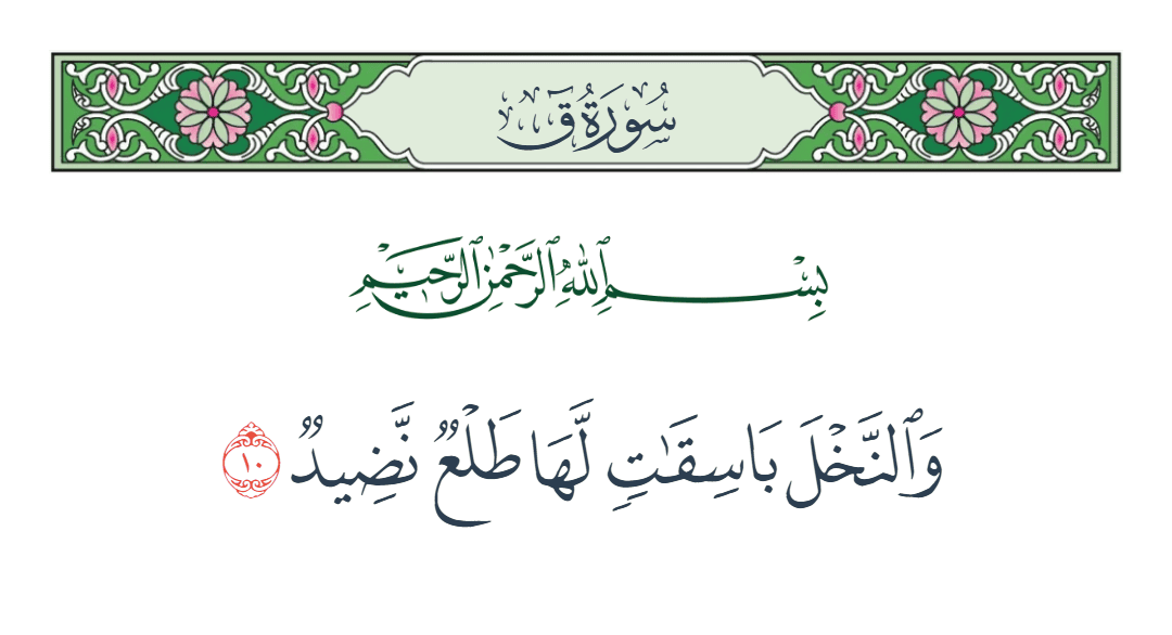  سورة ق الآية رقم 10