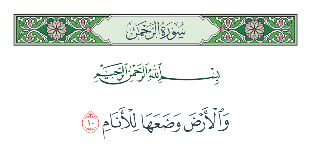  سورة الرحمن الآية رقم 10