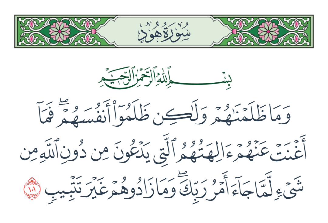 سورة هود الآية رقم 101