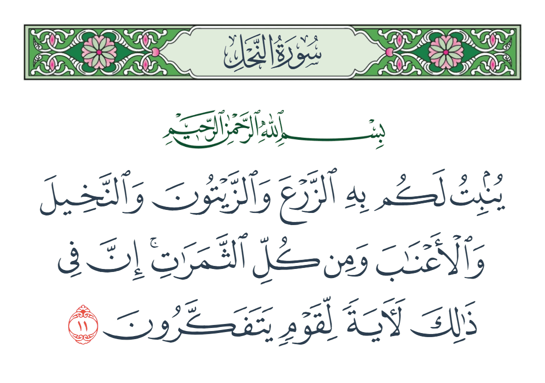  سورة النحل الآية رقم 11