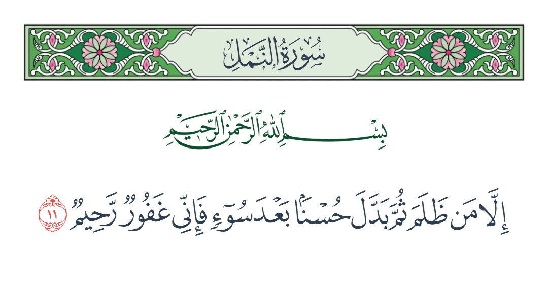  سورة النمل الآية رقم 11