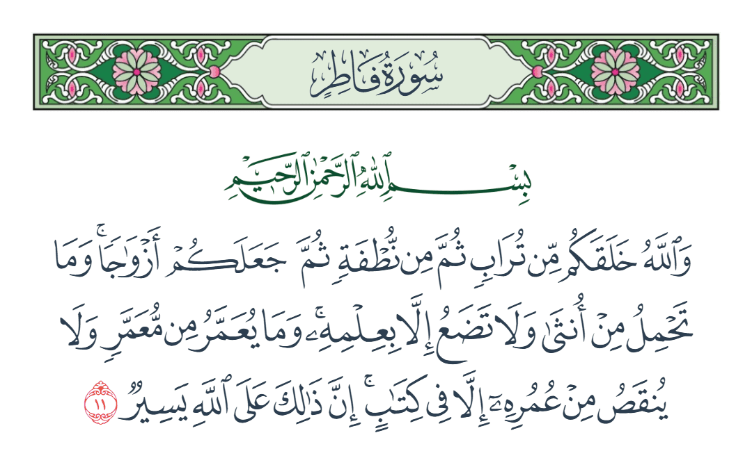  سورة فاطر الآية رقم 11
