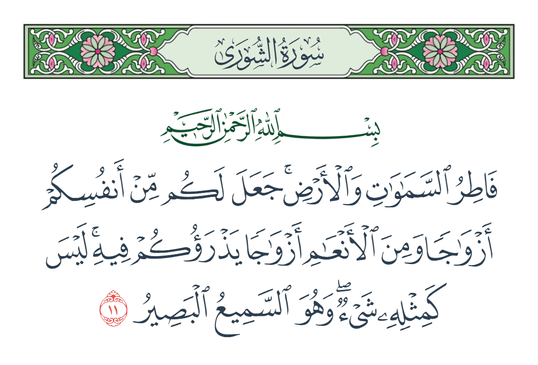  سورة الشورى الآية رقم 11