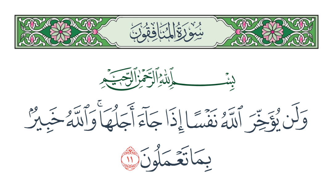  سورة المنافقون الآية رقم 11