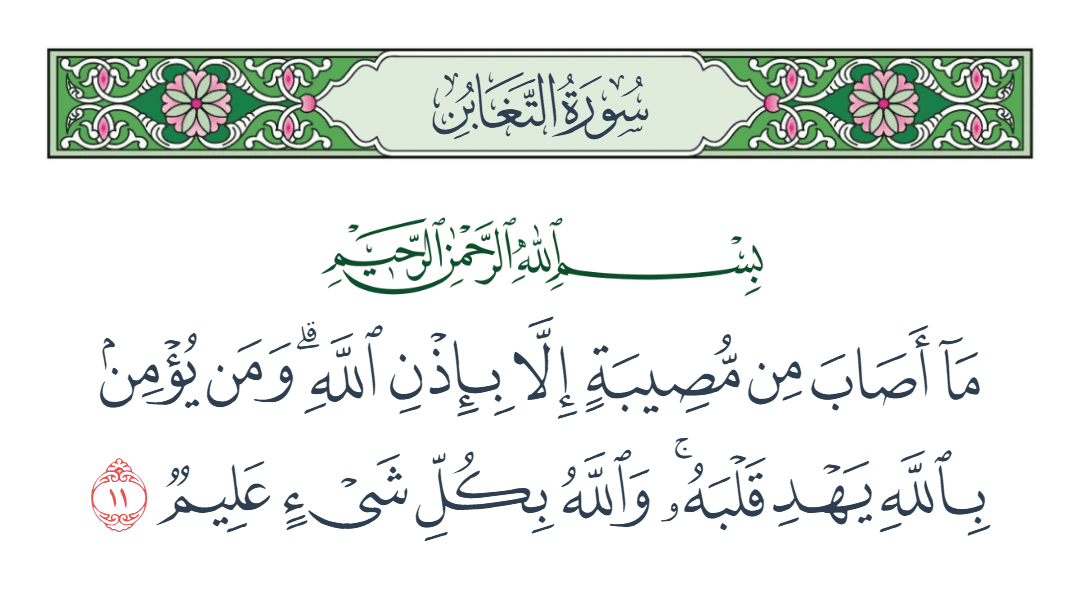  سورة التغابن الآية رقم 11