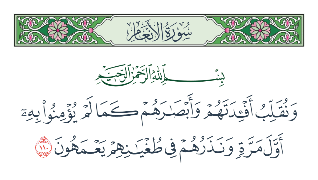  سورة الأنعام الآية رقم 110