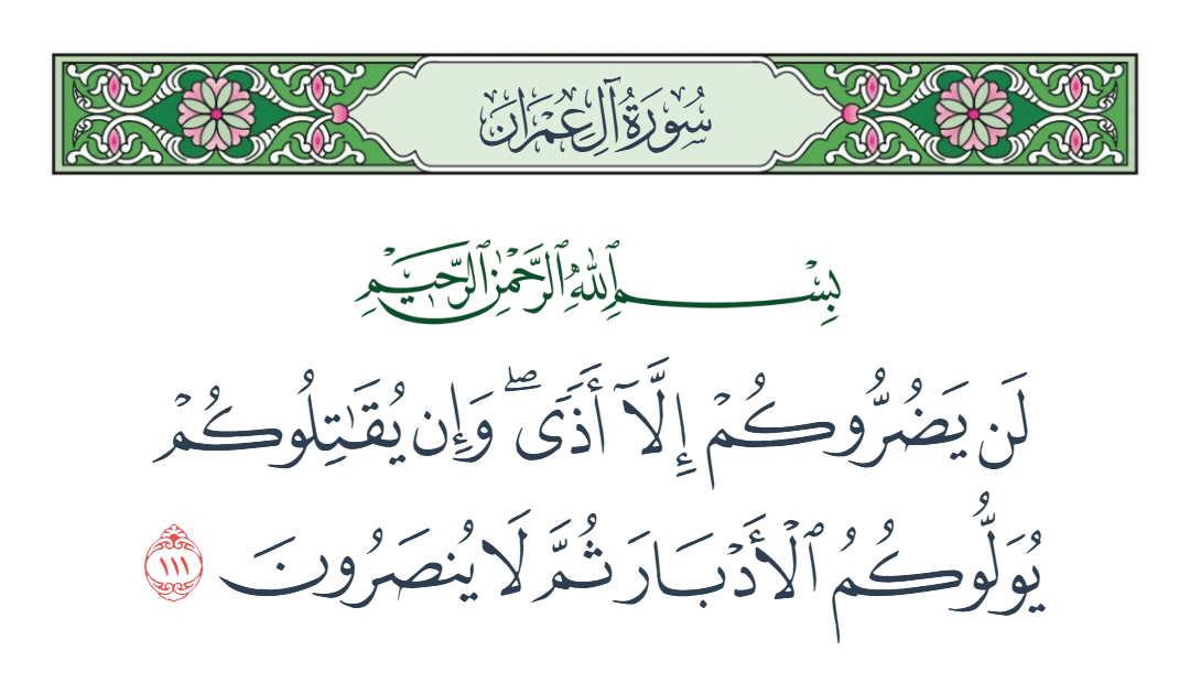  سورة آل عمران الآية رقم 111