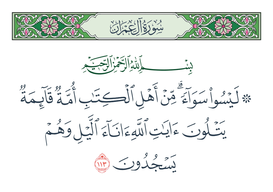  سورة آل عمران الآية رقم 113