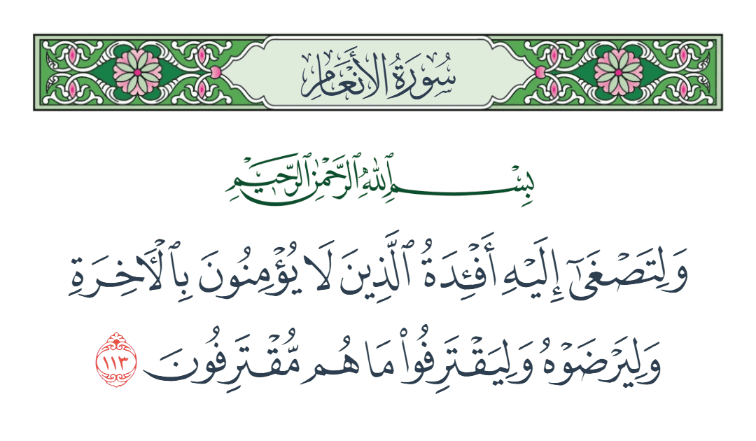  سورة الأنعام الآية رقم 113