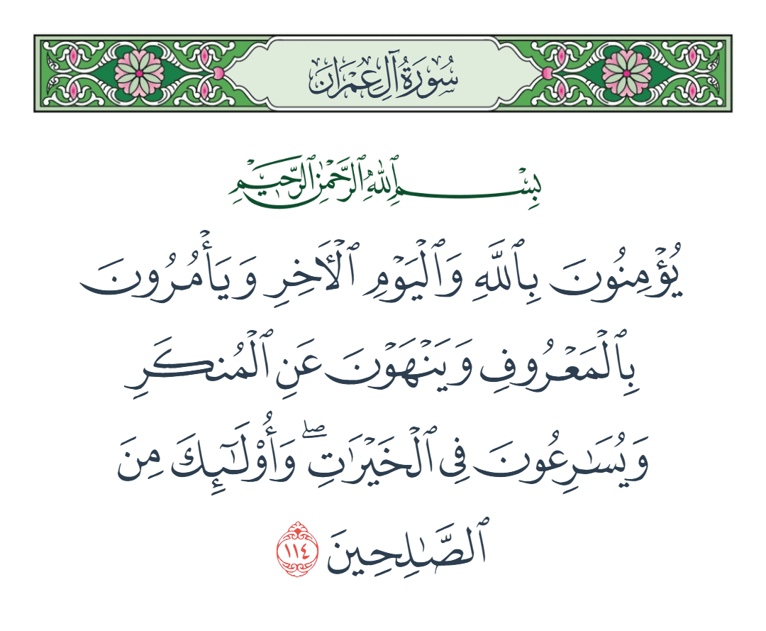  سورة آل عمران الآية رقم 114