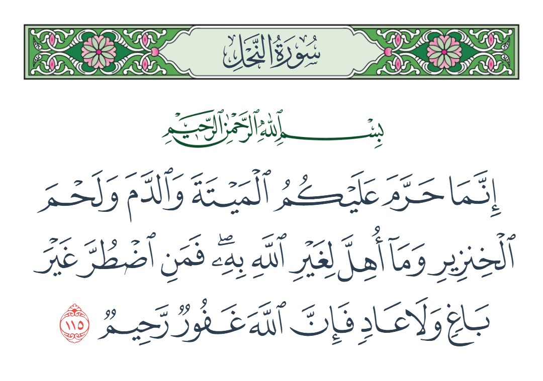  سورة النحل الآية رقم 115