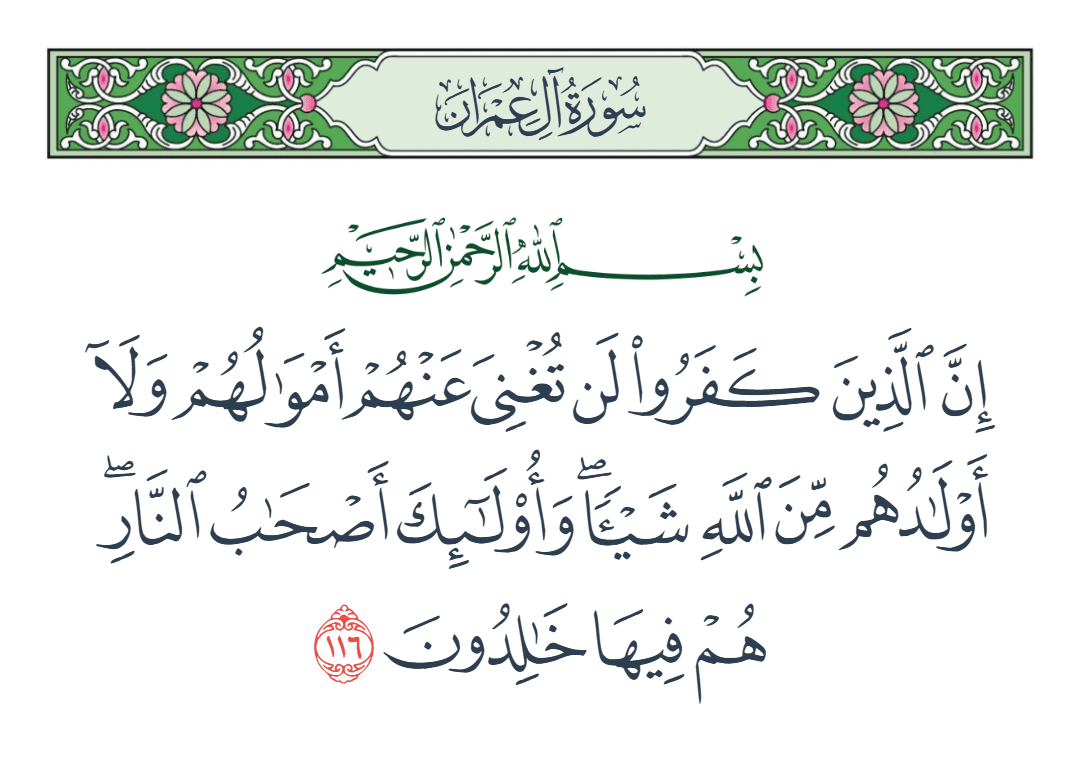  سورة آل عمران الآية رقم 116