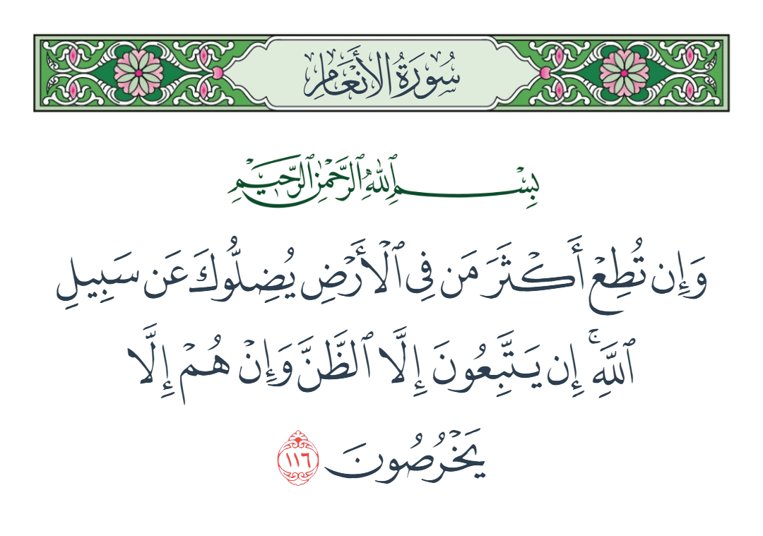  سورة الأنعام الآية رقم 116