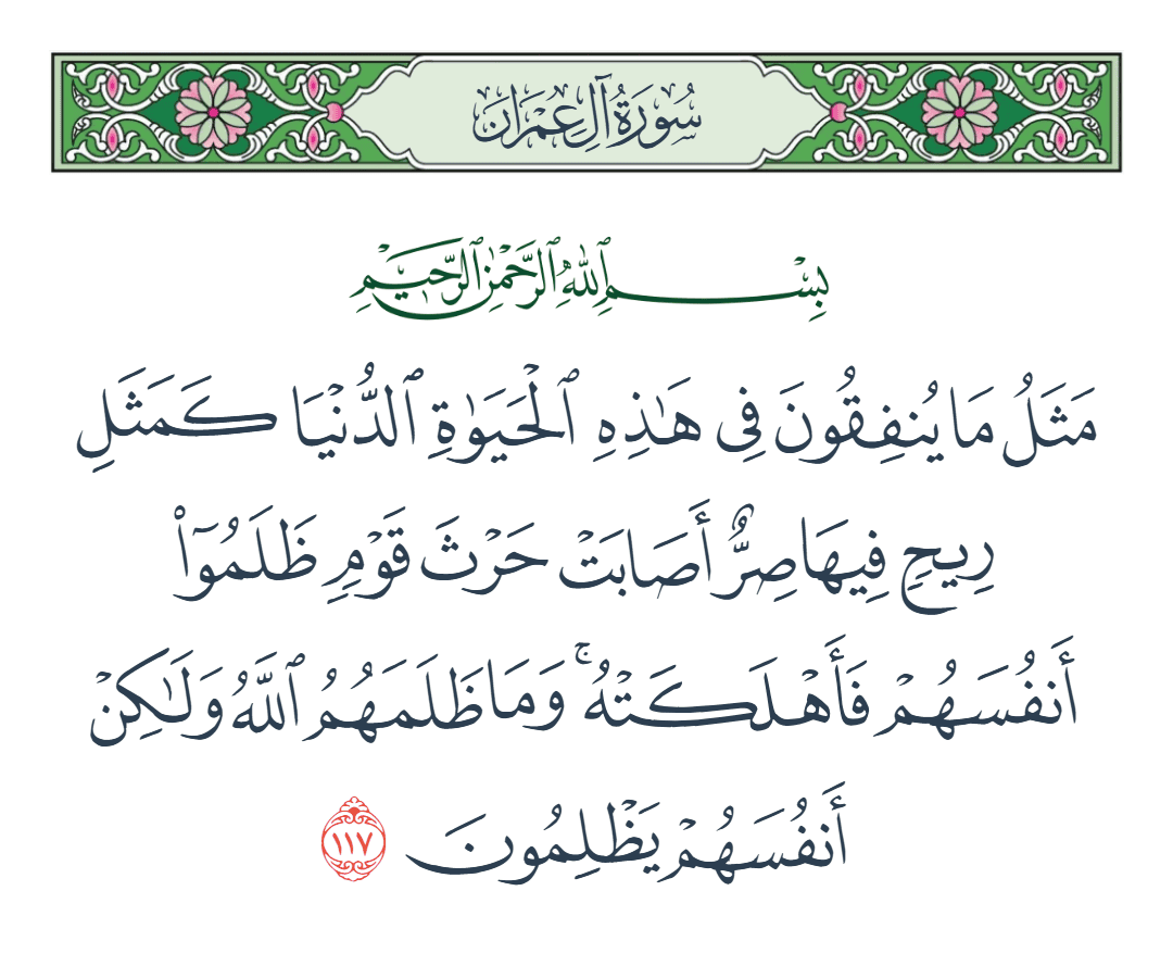  سورة آل عمران الآية رقم 117