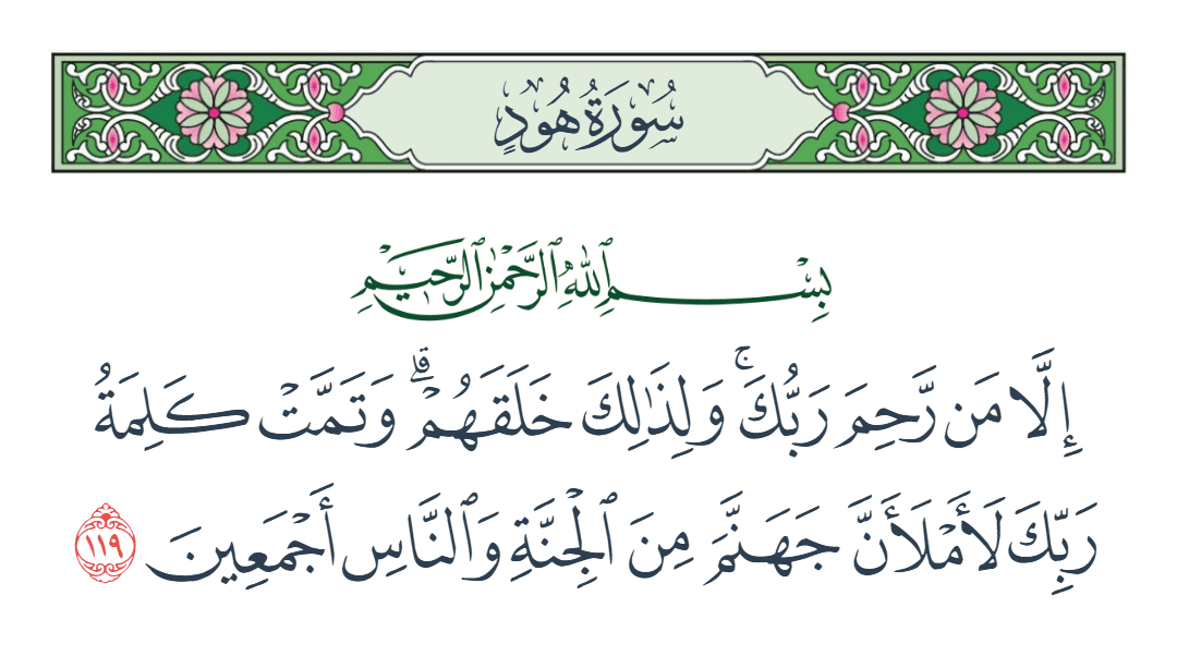  سورة هود الآية رقم 119