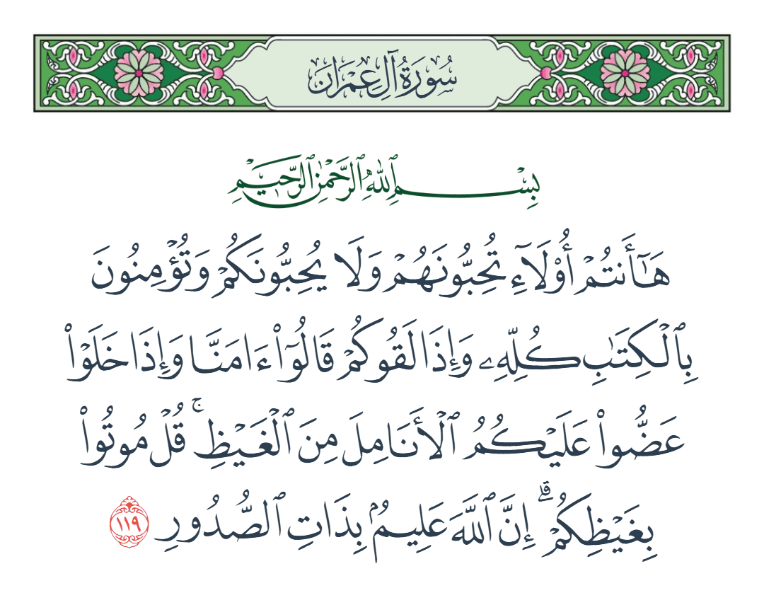  سورة آل عمران الآية رقم 119