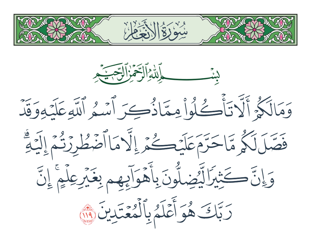  سورة الأنعام الآية رقم 119