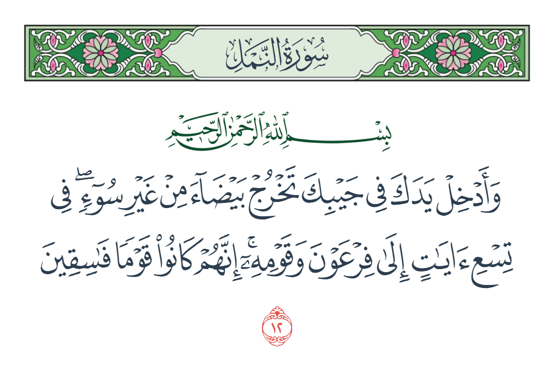  سورة النمل الآية رقم 12