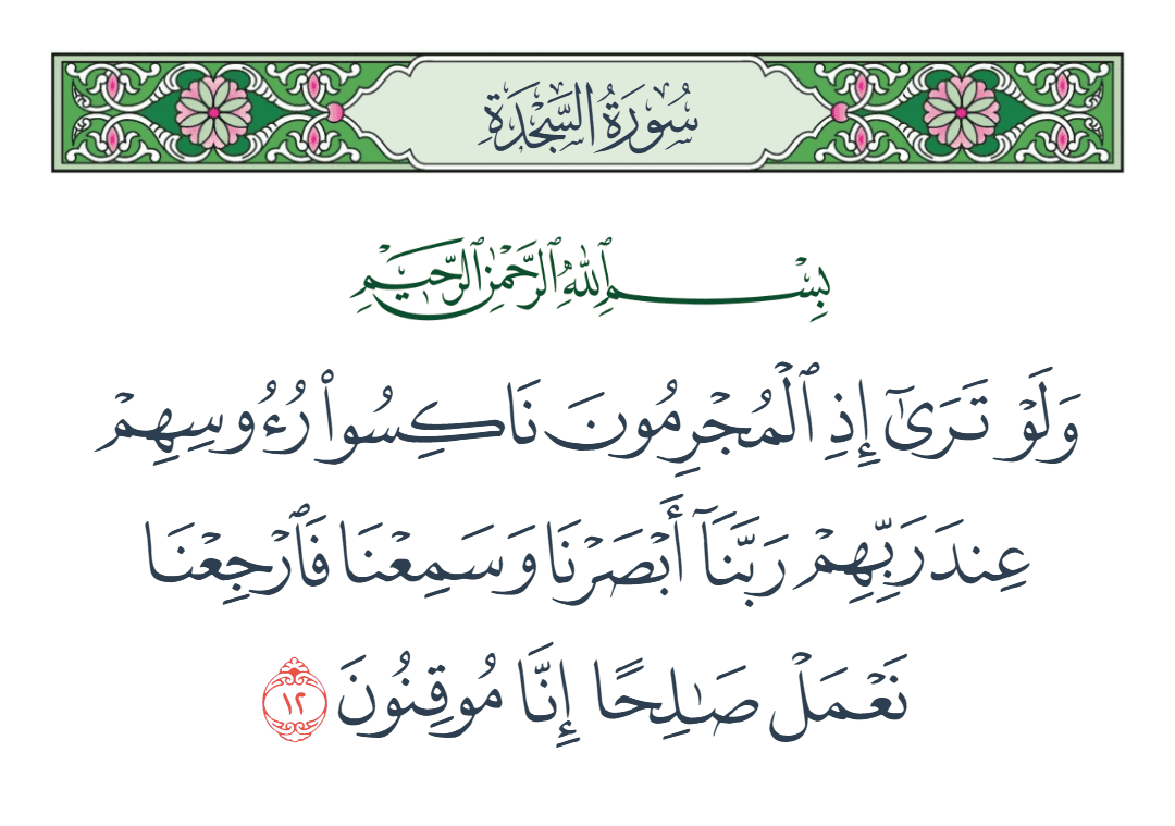  سورة السجدة الآية رقم 12