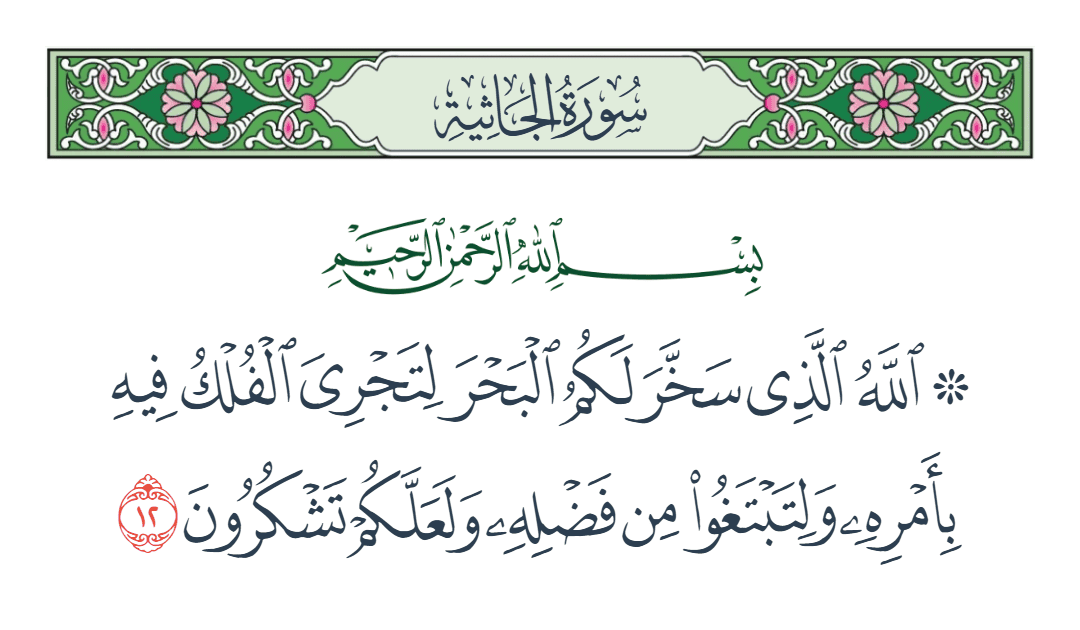  سورة الجاثية الآية رقم 12