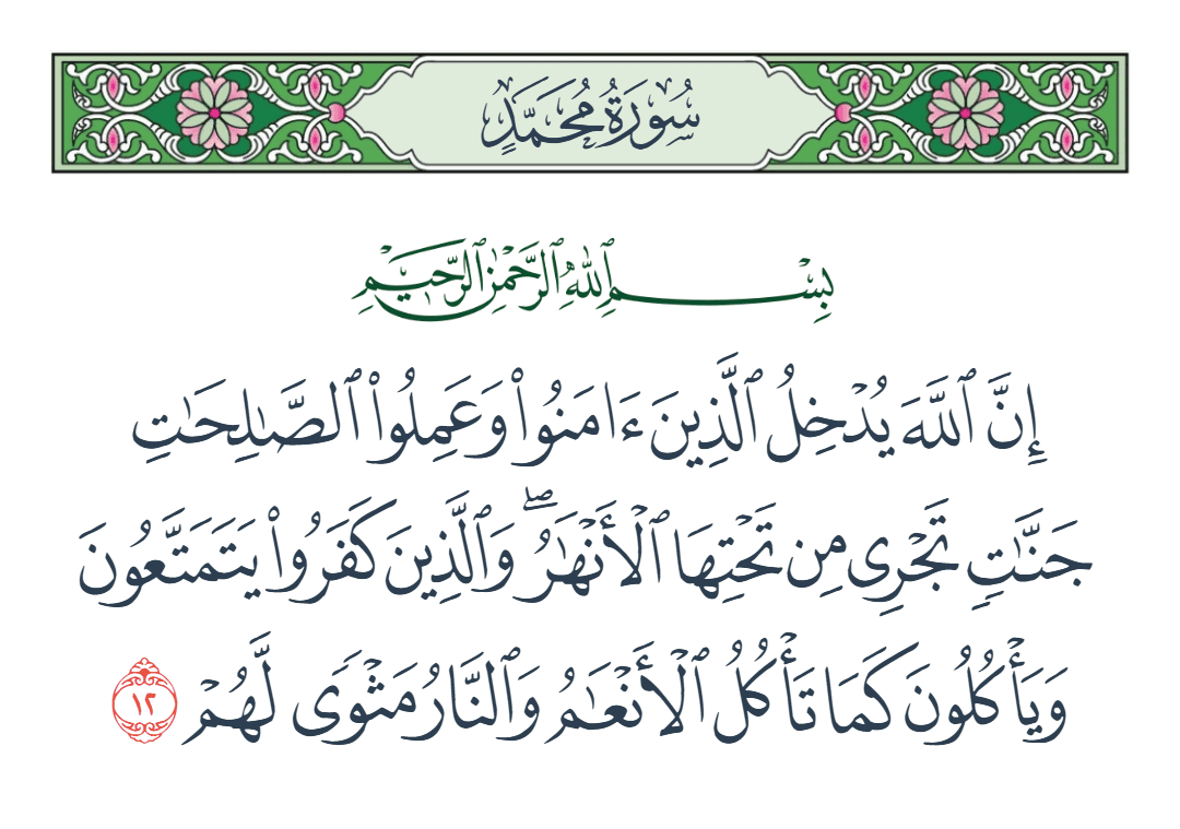  سورة محمد الآية رقم 12