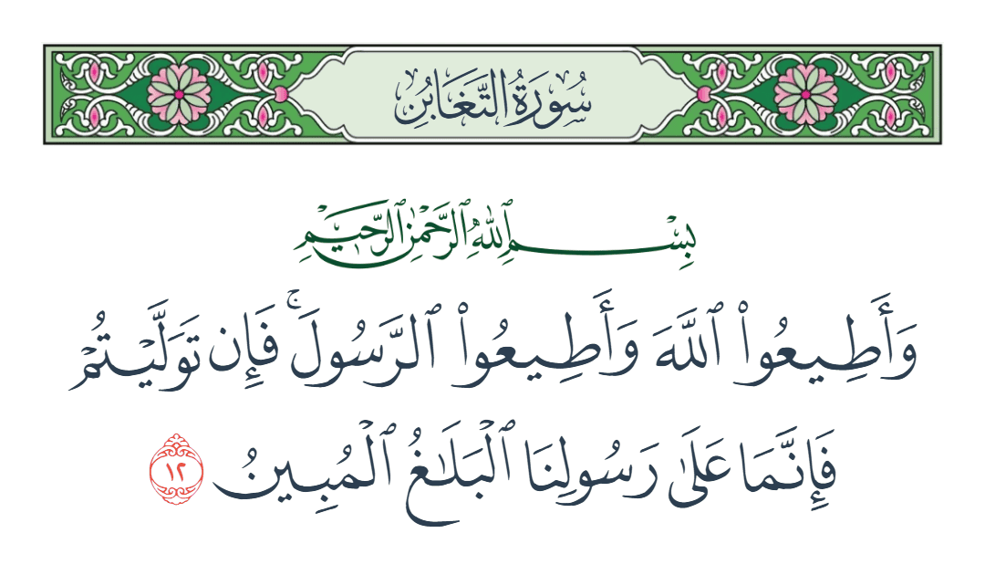  سورة التغابن الآية رقم 12