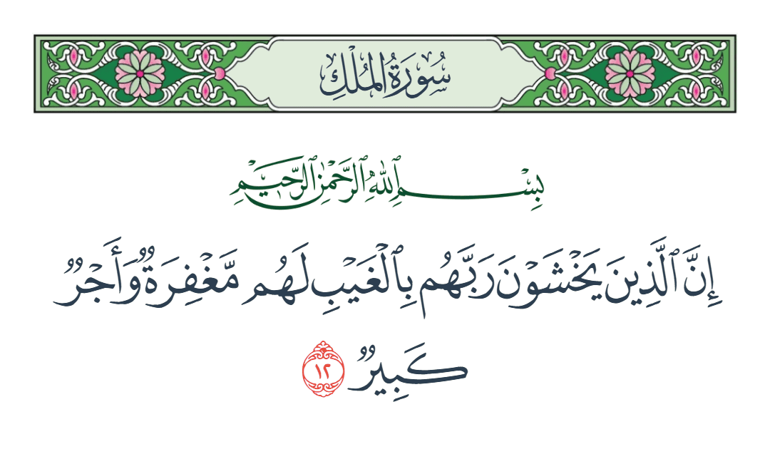  سورة الملك الآية رقم 12