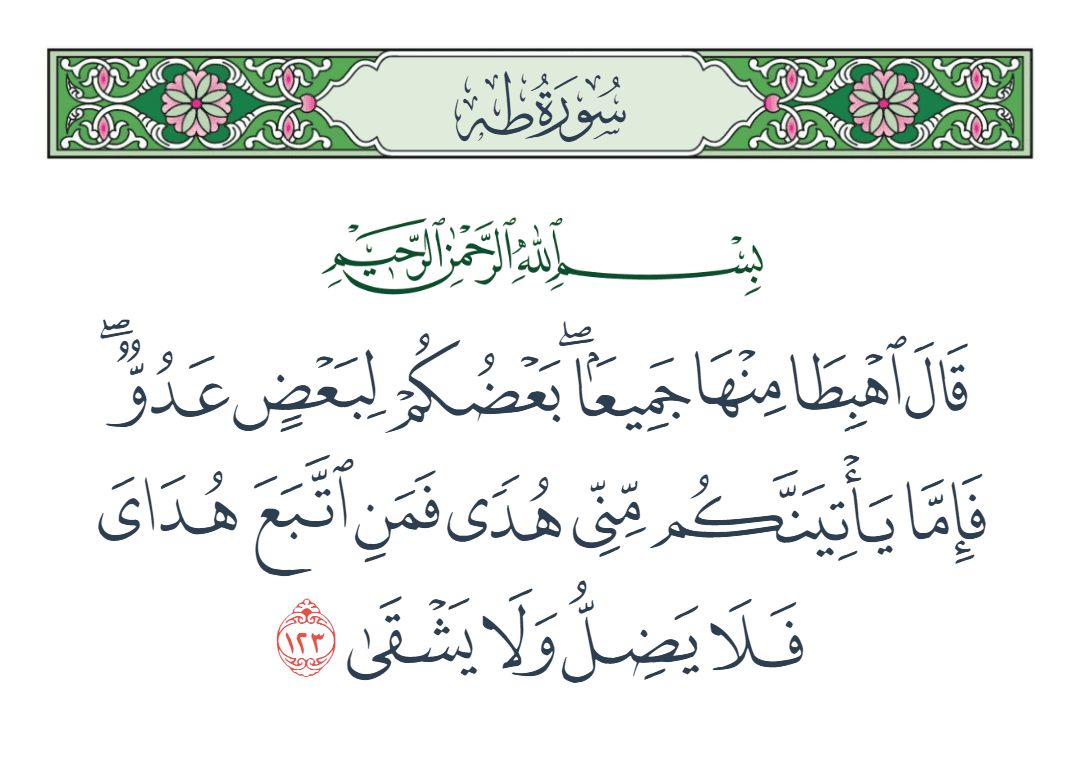  سورة طه الآية رقم 123