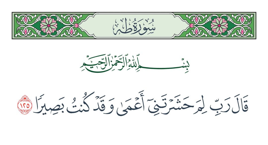  سورة طه الآية رقم 125