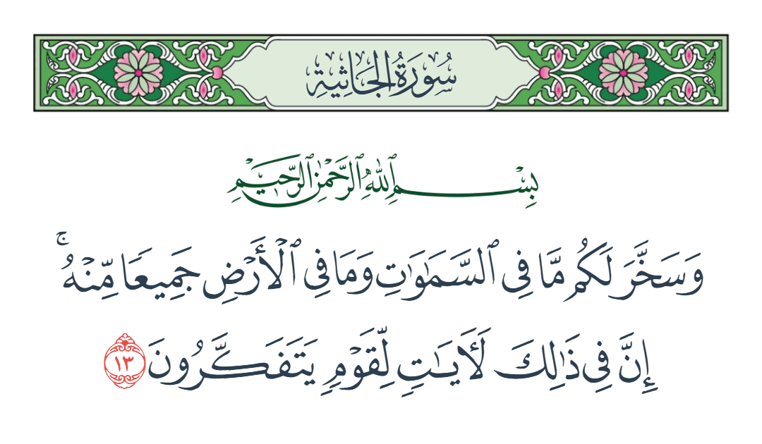  سورة الجاثية الآية رقم 13