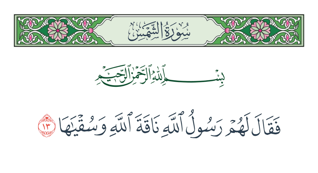  سورة الشمس الآية رقم 13