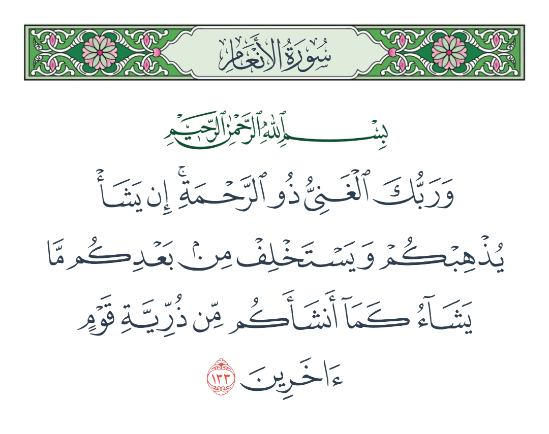  سورة الأنعام الآية رقم 133