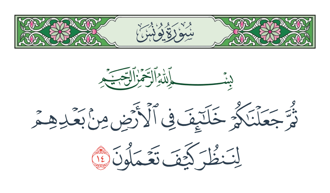  سورة يونس الآية رقم 14