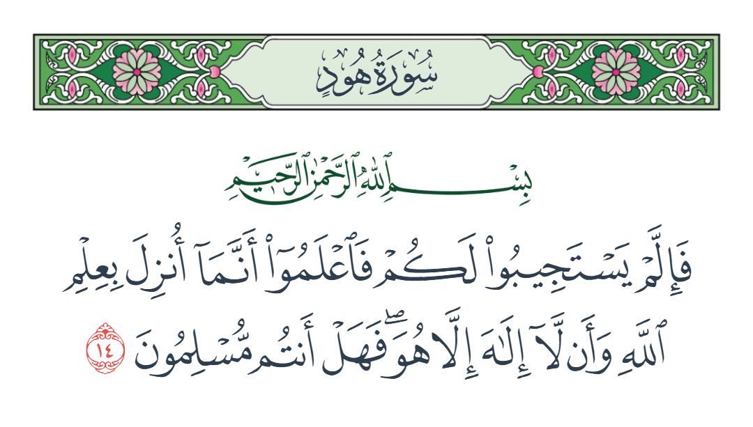  سورة هود الآية رقم 14