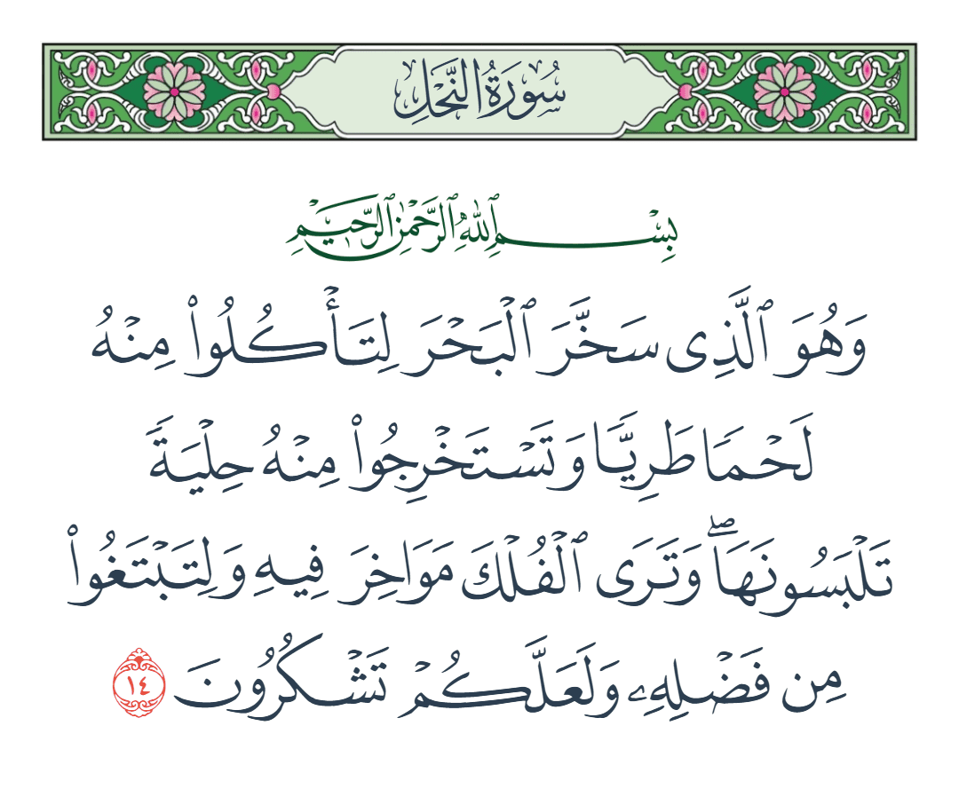  سورة النحل الآية رقم 14