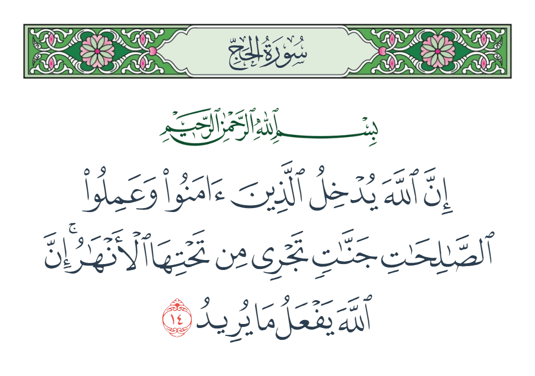  سورة الحج الآية رقم 14