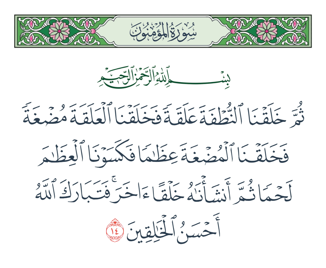  سورة المؤمنون الآية رقم 14