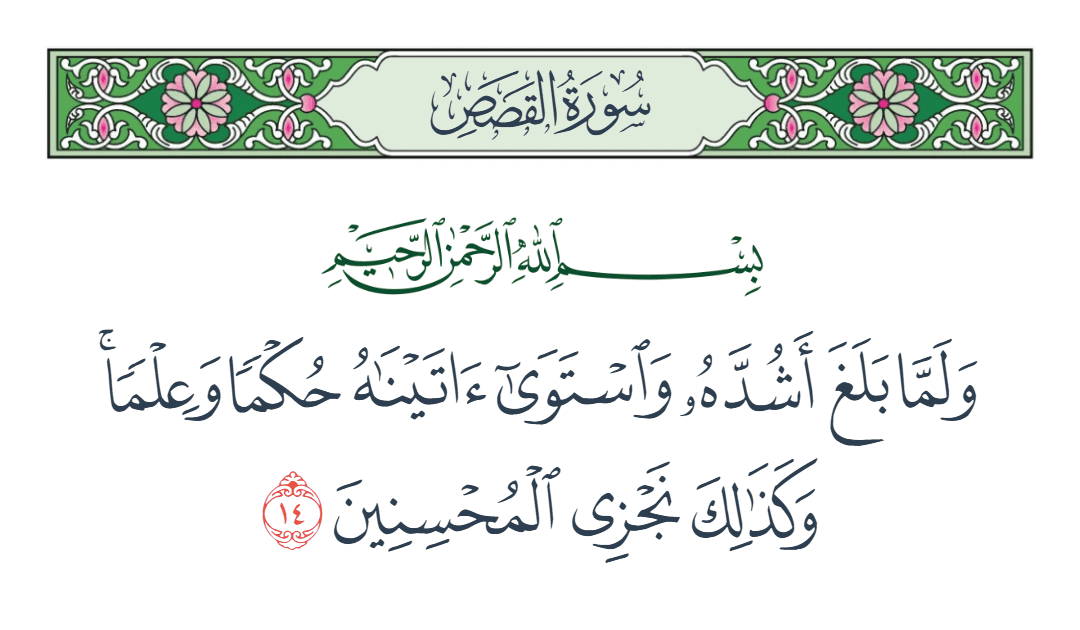  سورة القصص الآية رقم 14