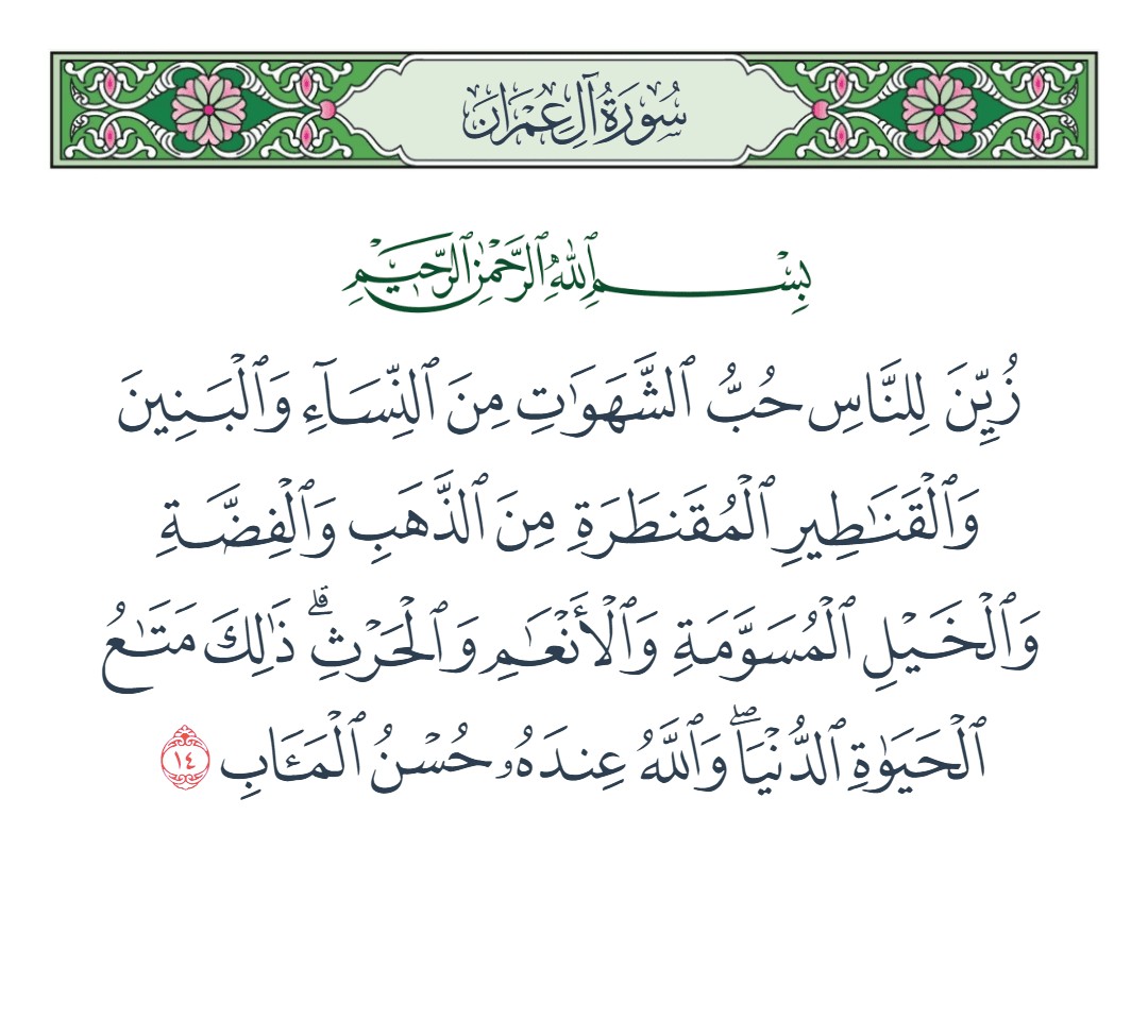  سورة آل عمران الآية رقم 14