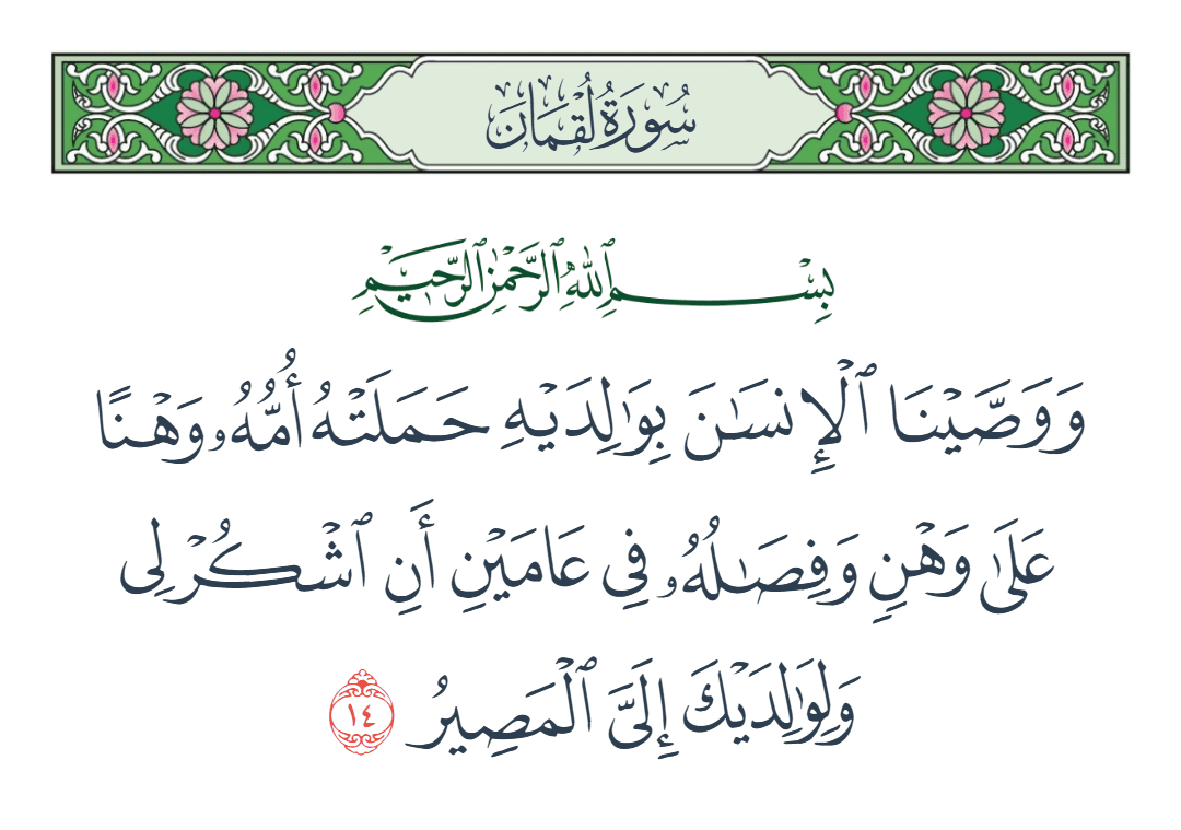  سورة لقمان الآية رقم 14