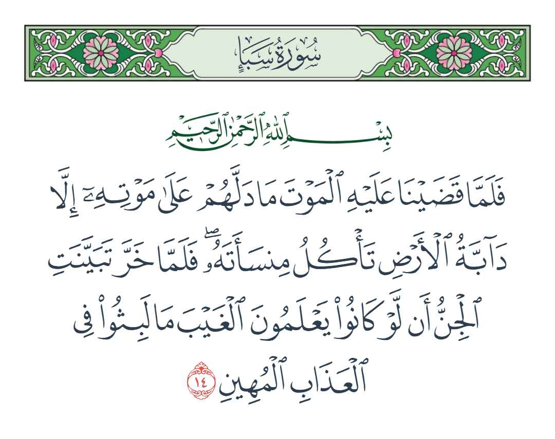  سورة سبأ الآية رقم 14