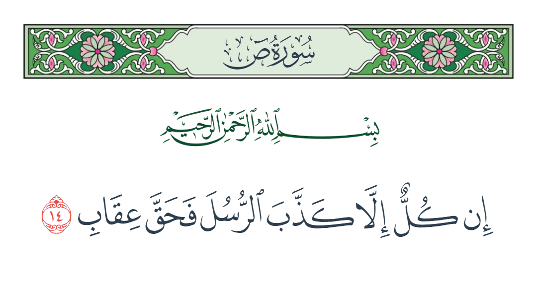  سورة ص الآية رقم 14