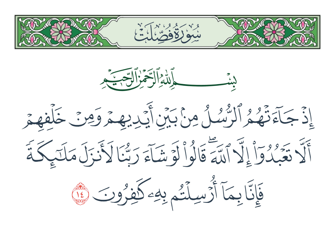  سورة فصلت الآية رقم 14