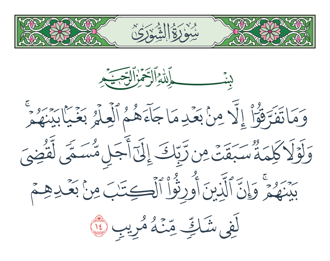  سورة الشورى الآية رقم 14