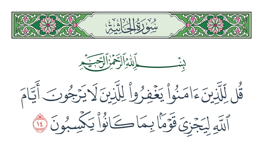  سورة الجاثية الآية رقم 14