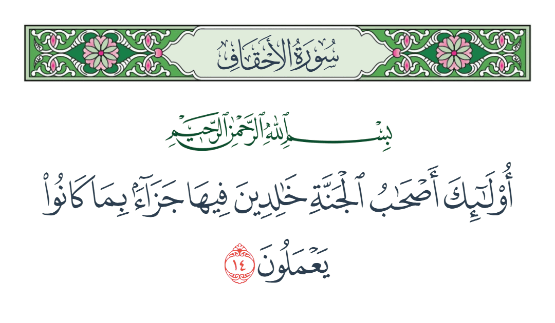  سورة الأحقاف الآية رقم 14