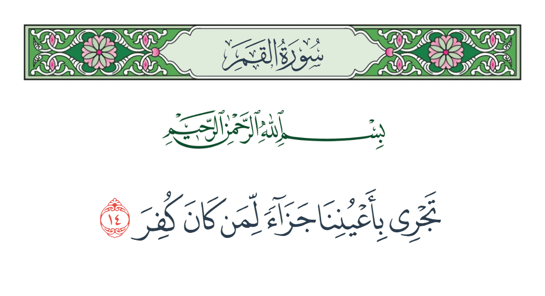  سورة القمر الآية رقم 14