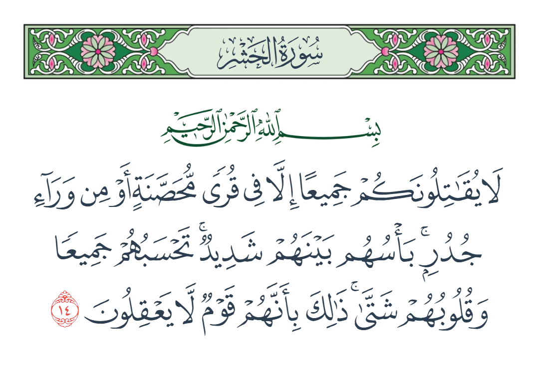  سورة الحشر الآية رقم 14